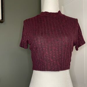 Forever 21 Maroon Ribbed Crop Top